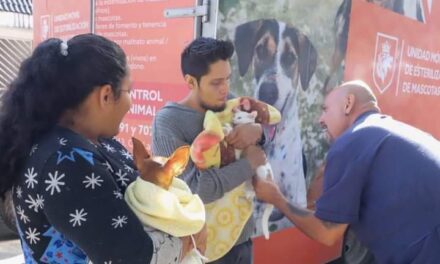 Municipio de León lanza web para adopción de mascotas