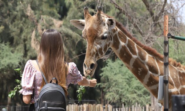 Fomentan interacción con animales en el zoológico de León