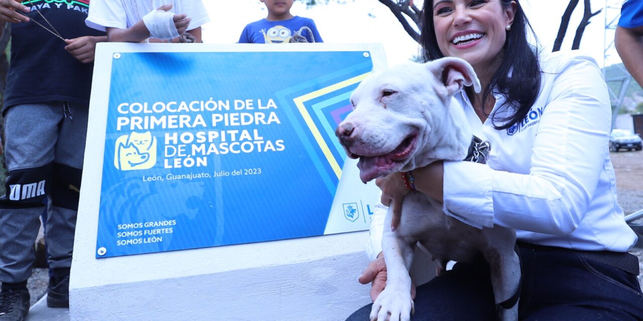 En León comienza construcción de hospital de mascotas