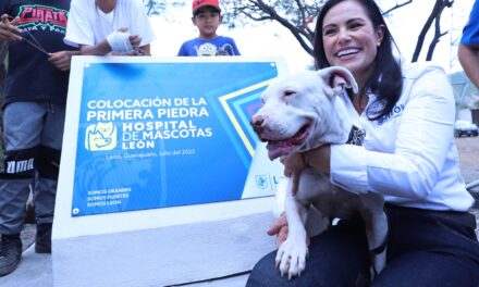 En León comienza construcción de hospital de mascotas