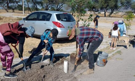 Se plantan 45 árboles para zonas húmedas de Purísima