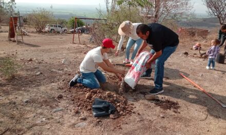 Habitantes de Purísima plantan 50 árboles junto a autoridades