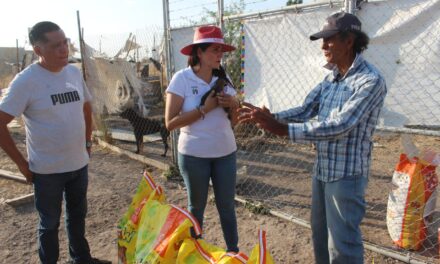 Lucy Gómez busca crear un espacio a favor del bienestar animal
