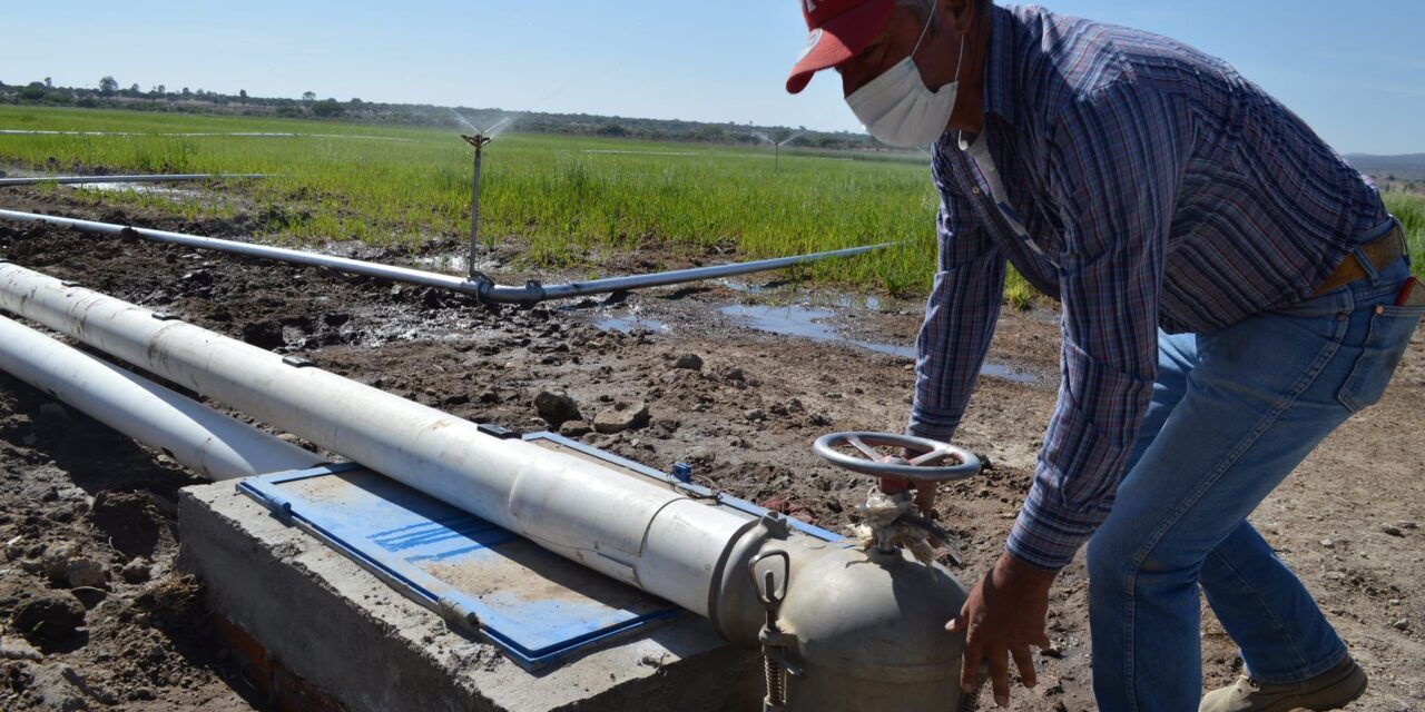 Buscan que agricultores aprovechen el agua