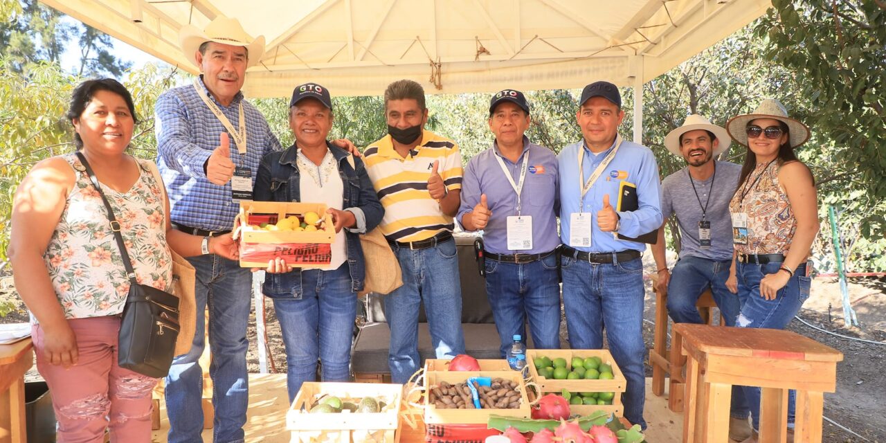 Impulsan fruticultura en el estado de Guanajuato