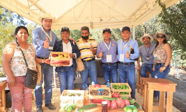 Impulsan fruticultura en el estado de Guanajuato