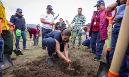 Plantan más de 2 mil árboles en Sierra de Lobos, León