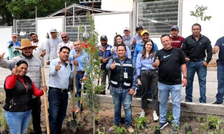 Plantan más de mil árboles en Purísima del Rincón