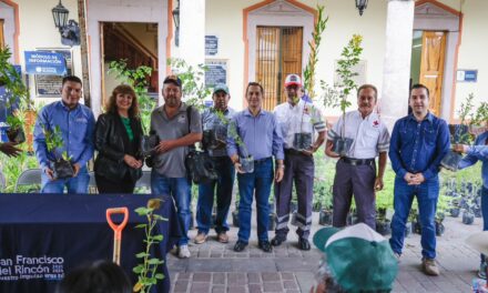 En San Francisco del Rincón entregan más de mil árboles