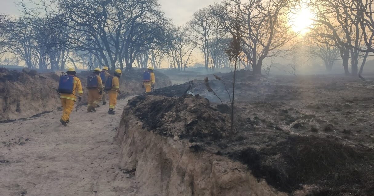Bomberos León ayudan a mitigar incendio en Sierra de Lobos