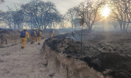 Bomberos León ayudan a mitigar incendio en Sierra de Lobos