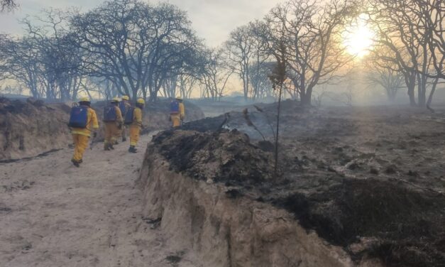 Bomberos León ayudan a mitigar incendio en Sierra de Lobos