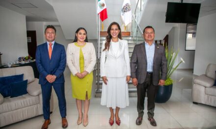 Refuerzan estrategia de seguridad Guanajuato, Jalisco, Colima y Michoacán