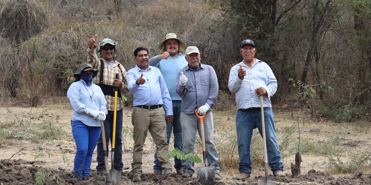 Purísima del Rincón reverdece presa de Cañada de Negros