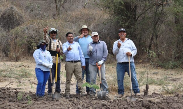 Purísima del Rincón reverdece presa de Cañada de Negros