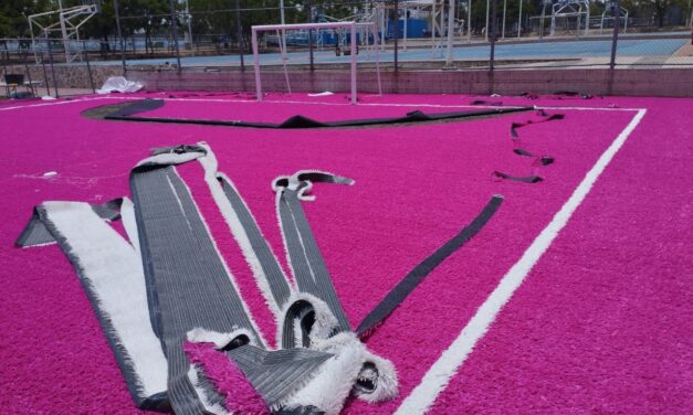 Lista primera cancha de empastado rosa en Purísima