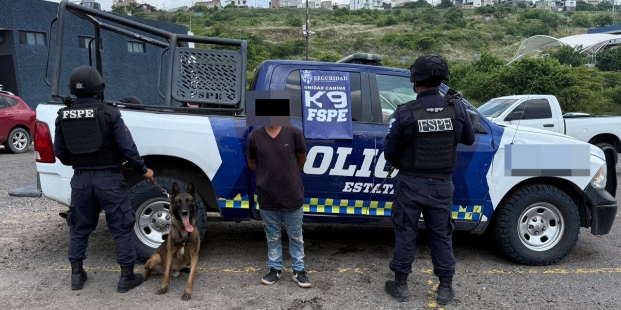 Binomio canino detecta más de 200 dosis de supuesta droga en León