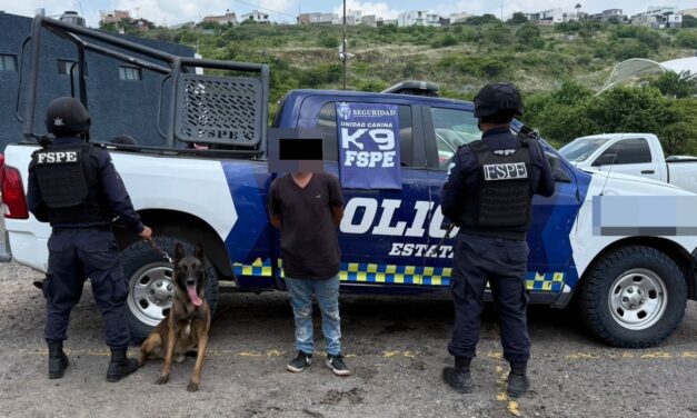 Binomio canino detecta más de 200 dosis de supuesta droga en León
