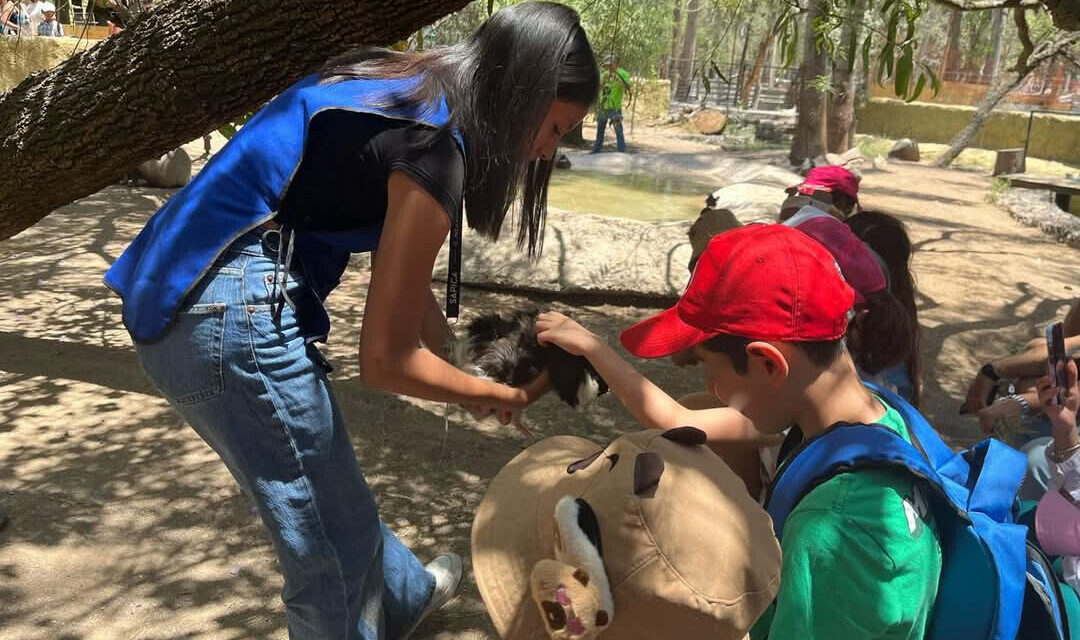 Visita el zoológico de León durante este verano