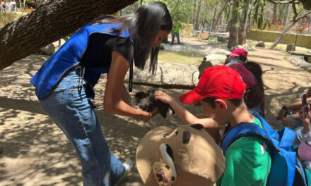 Visita el zoológico de León durante este verano