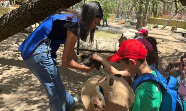 Visita el zoológico de León durante este verano
