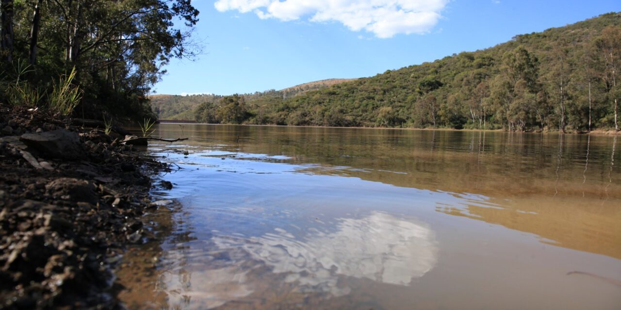 Presas del Estado presentan 68.5 por ciento de almacenamiento en promedio