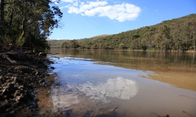 Presas del Estado presentan 68.5 por ciento de almacenamiento en promedio