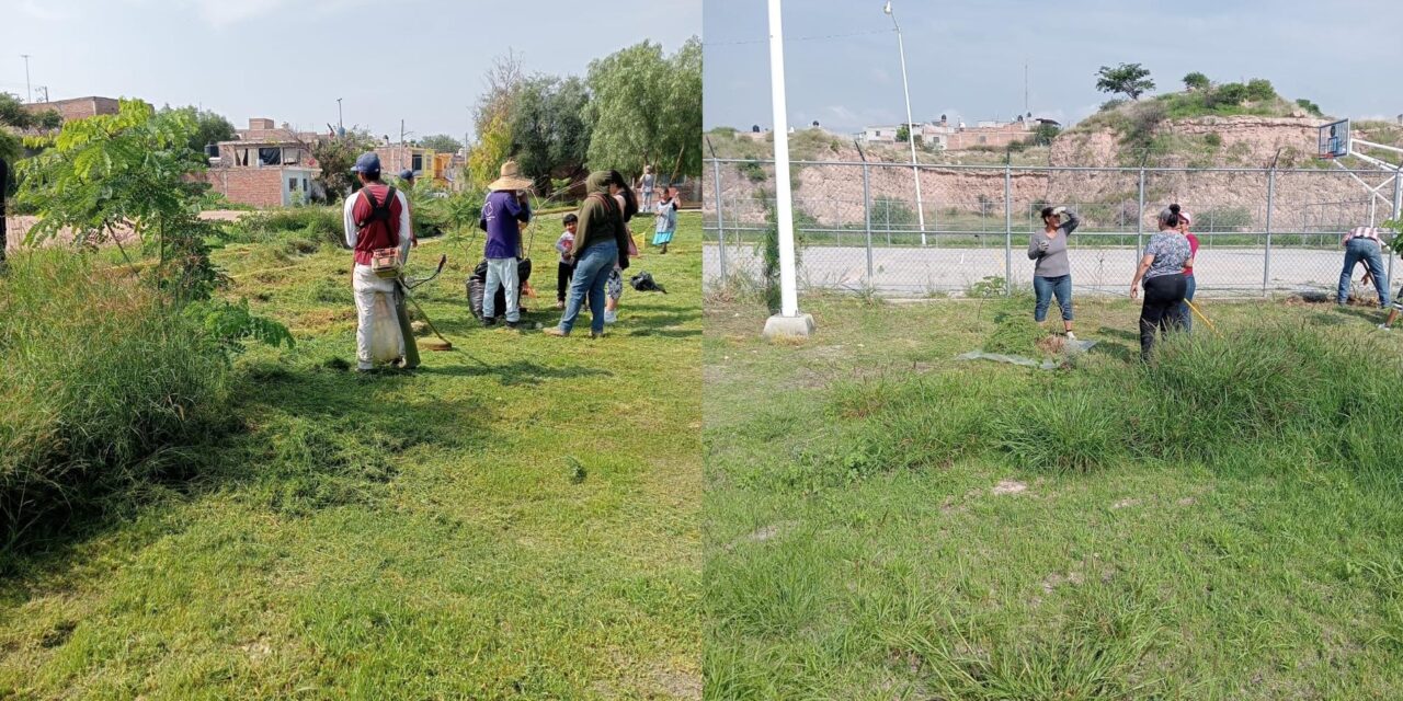 «Aquí Presente», limpian parque de colonia Panorama