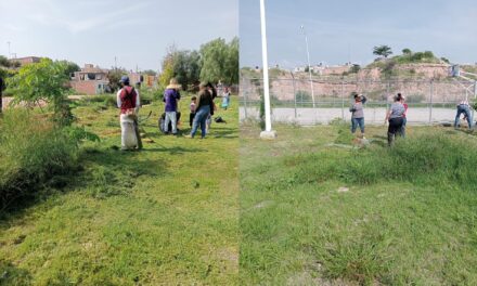 «Aquí Presente», limpian parque de colonia Panorama