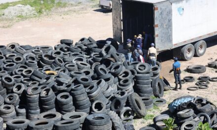 En Purísima del Rincón llevan llantas a reciclaje