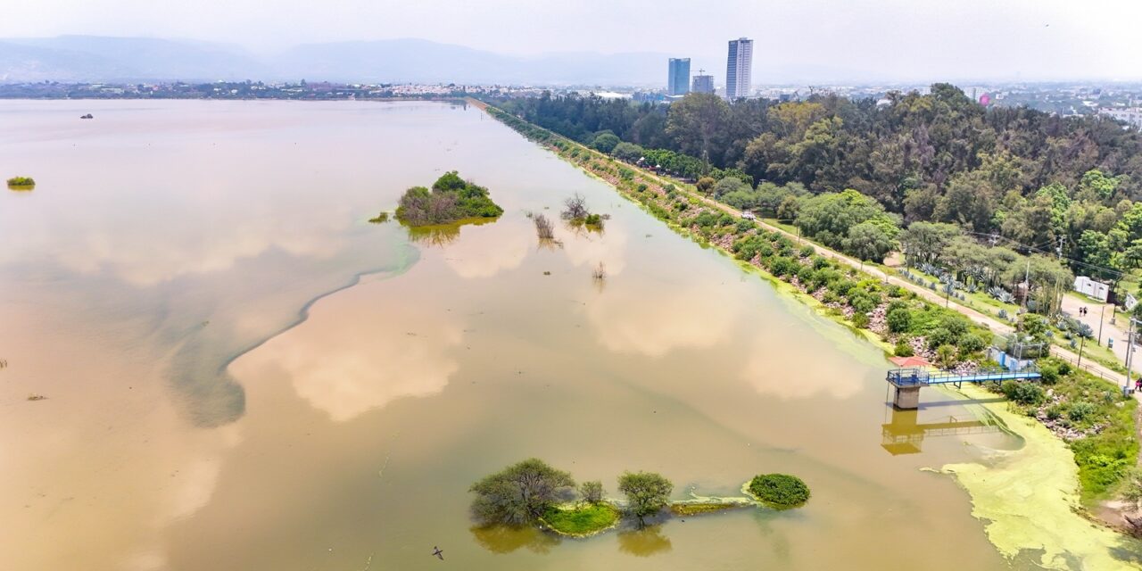 Principales presas en Guanajuato llenas al 79.3%, en promedio