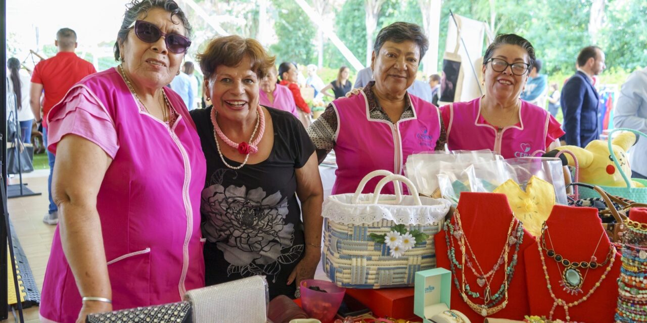 Voluntariado del estado de Guanajuato en Salud impulsa a albergues