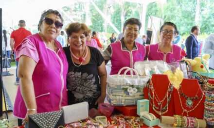 Voluntariado del estado de Guanajuato en Salud impulsa a albergues