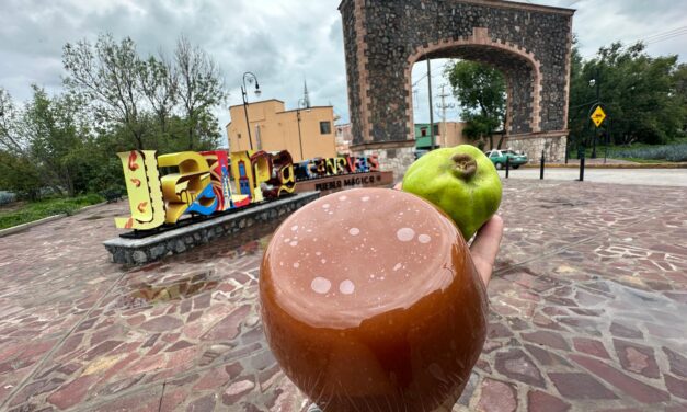 Llega temporada de membrillos a Jalpa de Cánovas