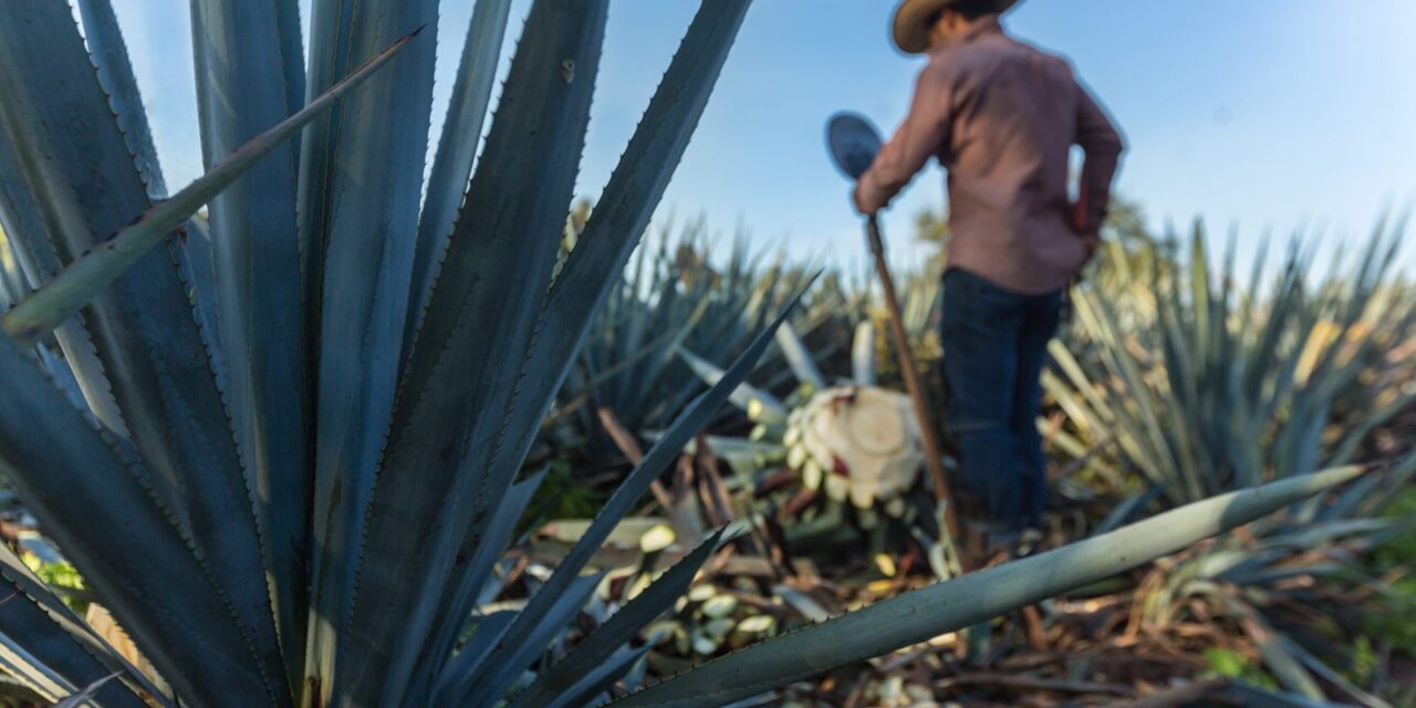 IECA oferta cursos y talleres para el sector agroindustrial