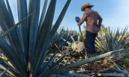 IECA oferta cursos y talleres para el sector agroindustrial