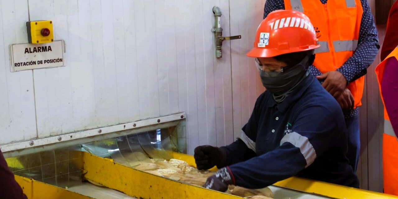 ‘Coneecta’ registra más de 22 mil oportunidades laborales