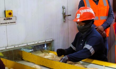 ‘Coneecta’ registra más de 22 mil oportunidades laborales