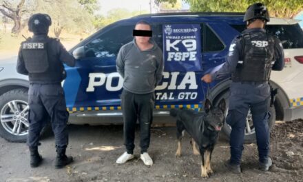 Agente K9 ‘Gaby’ detecta a hombre con más de mil dosis de droga