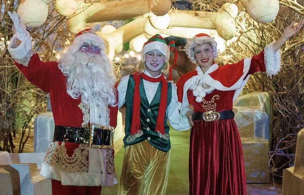 Llega una Navidad Encantada al Parque Guanajuato