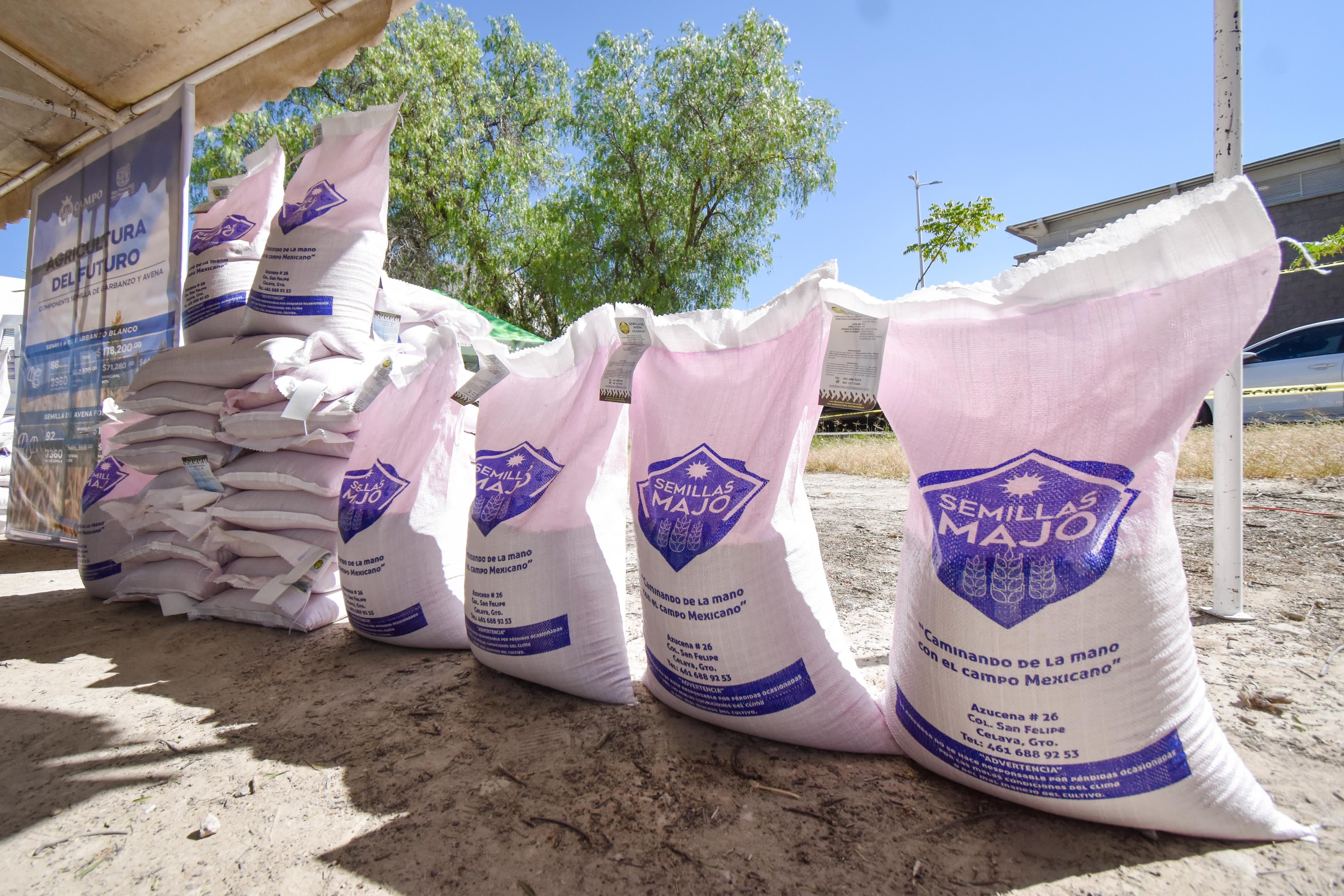 Apoyan con semilla a agricultores de San Francisco del Rincón