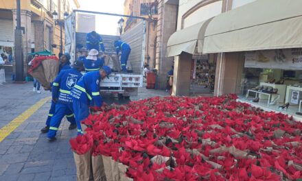 Colocarán más de 12 mil nochebuenas en León
