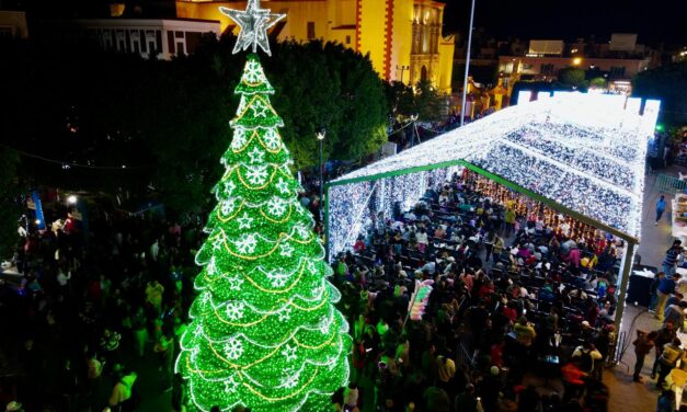 Encienden árbol de navidad en San Francisco del Rincón
