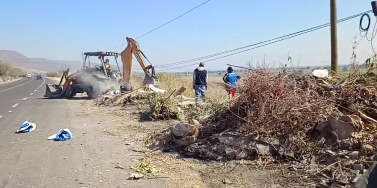 Limpian carreteras de Purísima del Rincón