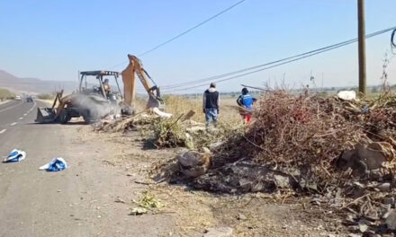 Limpian carreteras de Purísima del Rincón