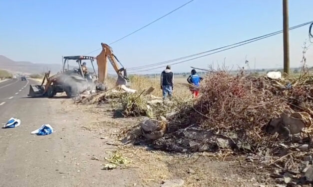 Limpian carreteras de Purísima del Rincón