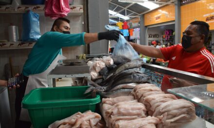 Salud Guanajuato supervisa venta de alimentos para garantizar su higiene y calidad