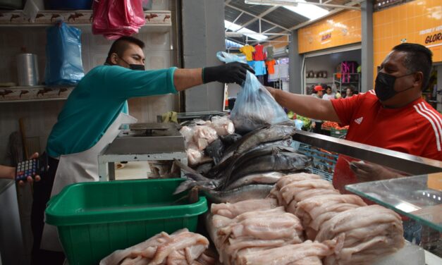 Salud Guanajuato supervisa venta de alimentos para garantizar su higiene y calidad