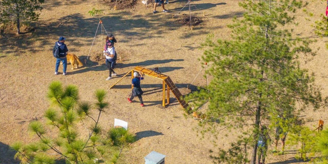 Parque metropolitano rehabilita zona Pet Friendly