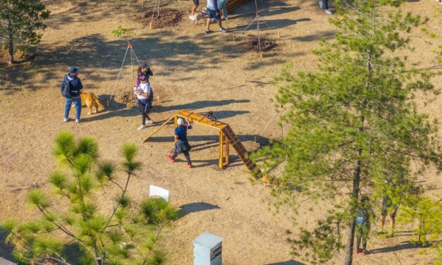Parque metropolitano rehabilita zona Pet Friendly